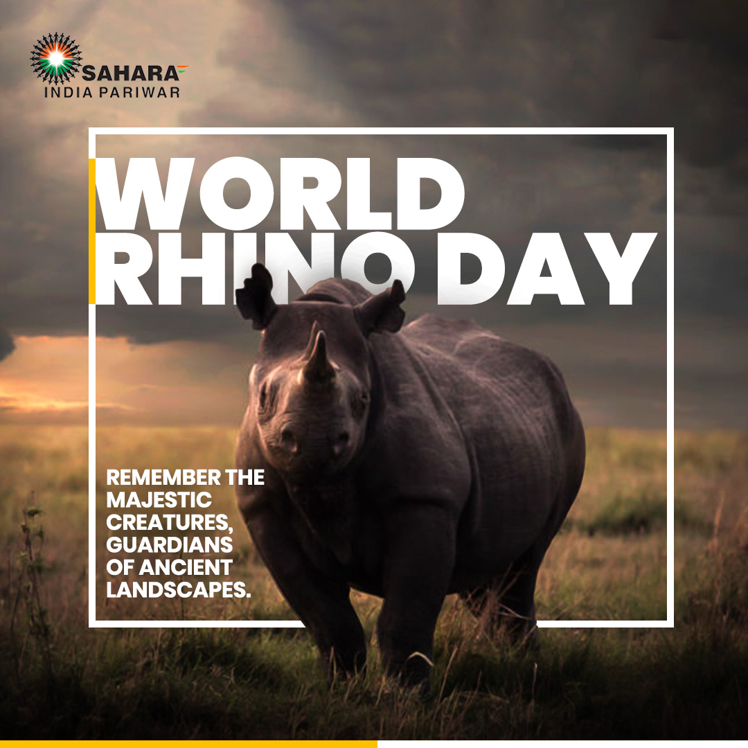 Subrataroysahar's tweet photo. Let's pay homage to the magnificent giants of the wild. Let's unite in their conservation, combating poaching and habitat loss, and ensure that the #rhinos legacy inspires generations and enriches our planet's biodiversity.
#roarforthewild #rhinoceros #savetheanimal #Kaziranga https://t.co/vPshslttCD