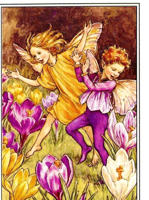 For my southern hemisphere friends, the #CrocusFairy for Springtime by #CicelyMaryBarker