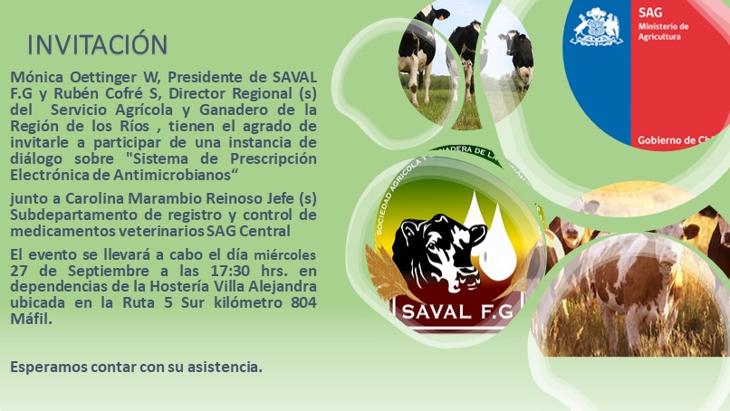 SAVAL F.G. tweet media