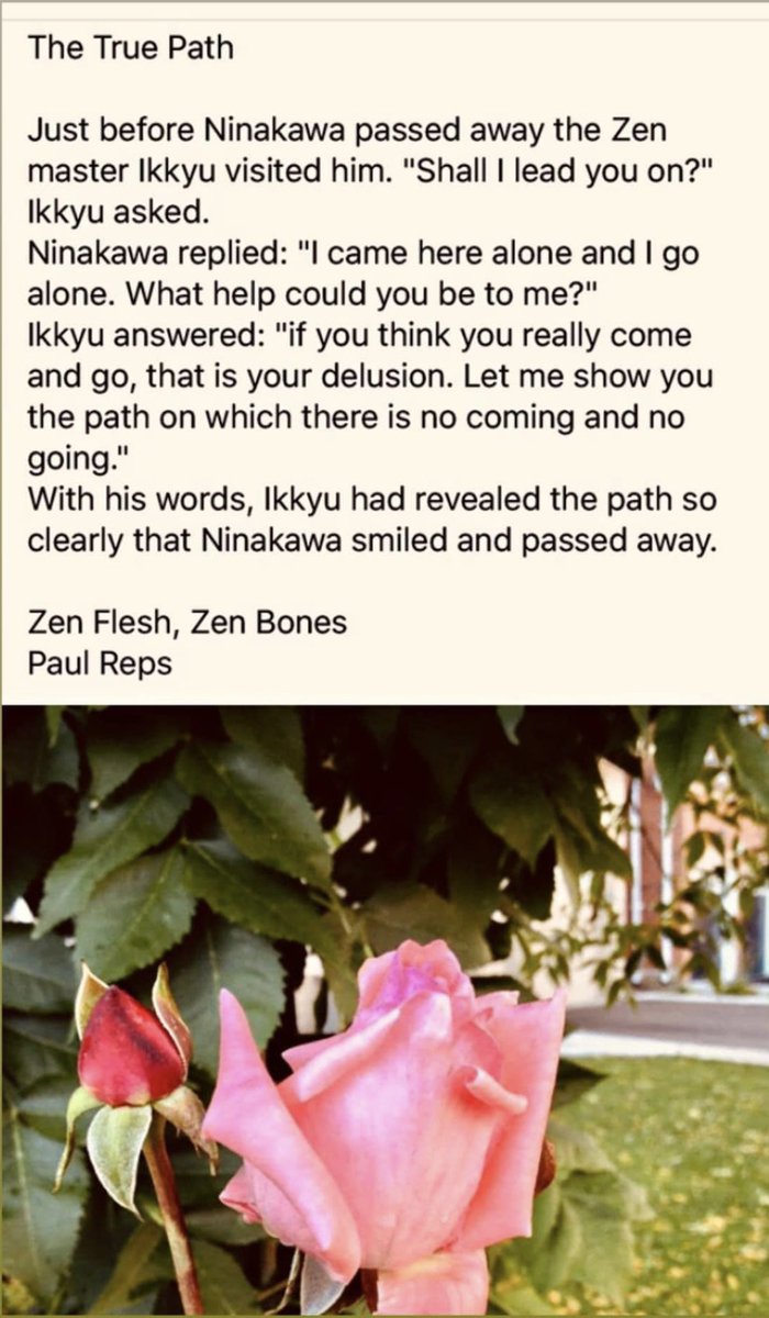 KrisBhattarai's tweet image. #ZenFlesh_ZenBones
#TheTruePath