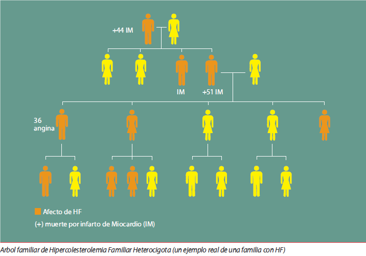 FHFamiliar's tweet photo. 📌#SabiasQué si tú tienes Hipercolesterolemia Familiar, la mitad de tus familiares también pueden haberla heredado?. #DescubreTuHF
👉https://t.co/5xnbQ4PZJ5 https://t.co/sLCNxeecsn