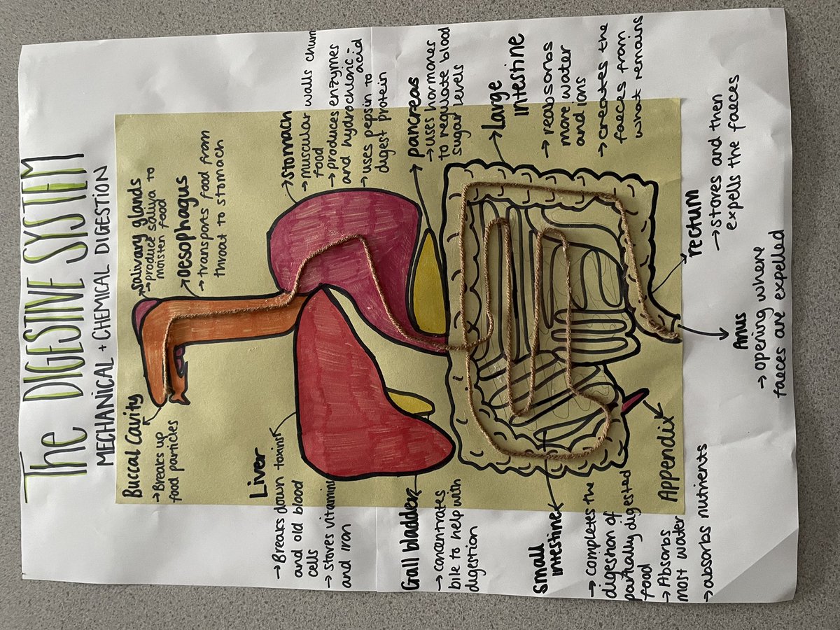 SHS Social Science tweet media