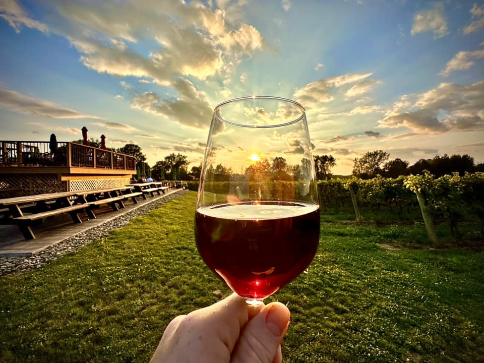 MCellarsOhio's tweet image. Come raise a glass with us today! 🍷We open at noon and will be here until 8:00 p.m.

Comment below if you're coming by!👇🏻

#livemusic #tastingroom #ilovewine #ohiowineries #winetasting #winelovers #estatewine #mcellars #ohiowine #grandrivervalleywineregion #grandrivervalley