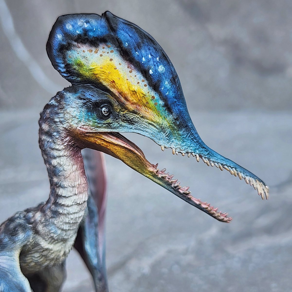 Creaturarium's tweet photo. “Kepodactylus insperatus”
Sculpture Artist: Han Xiao (Black Horse Studio)
Colourist: Jagsaurus

#Kepodactylus #Pterosaur #Dinosaur #Jurassic #creature #怪獣 #ガレージキット #フィギュア #恐竜 #creaturedesign #figure #replica #chavant #modelkit #garagekit #collector #hobby https://t.co/LJmiX442NE