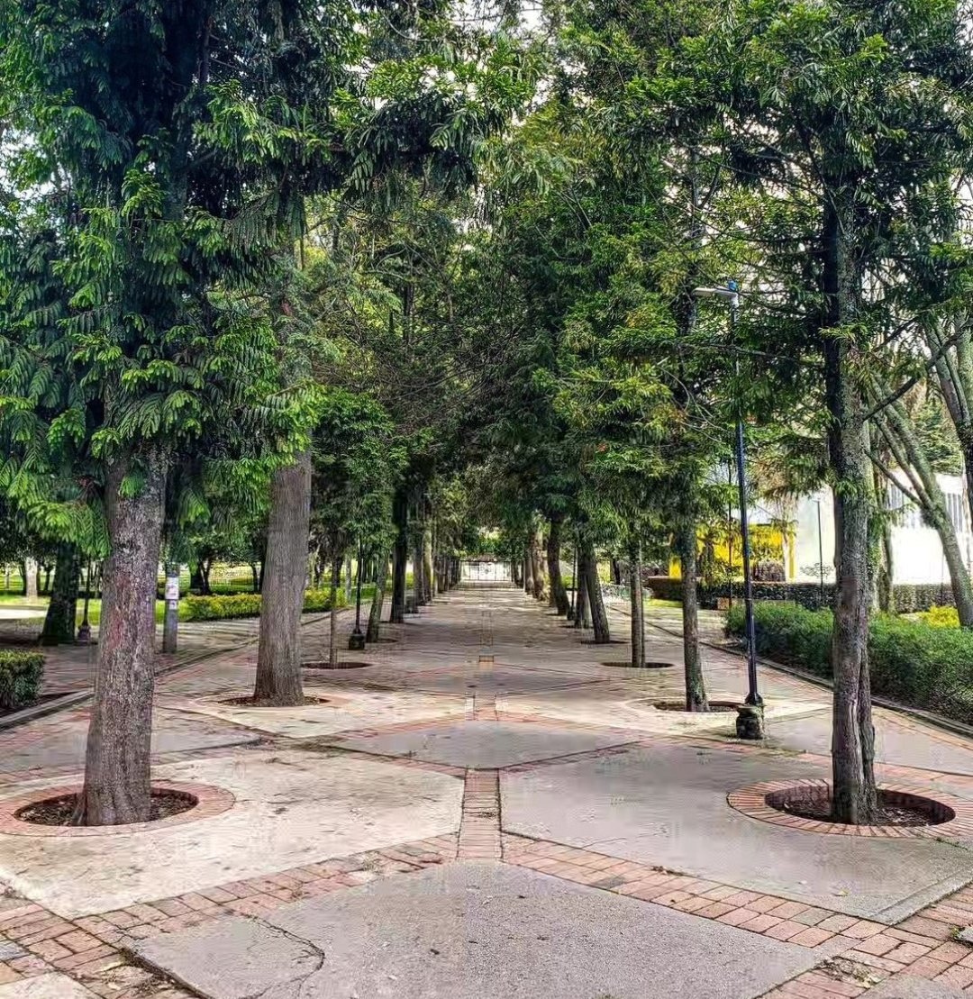 nacional_memes's tweet photo. Un día como hoy, en 1867, se fundó la Universidad Nacional de Colombia.
 Feliz cumpleaños ❤️❤️

Dejen sus mejores fotos de la Universidad Nacional ❤️💙 https://t.co/fx9eVtNwQW