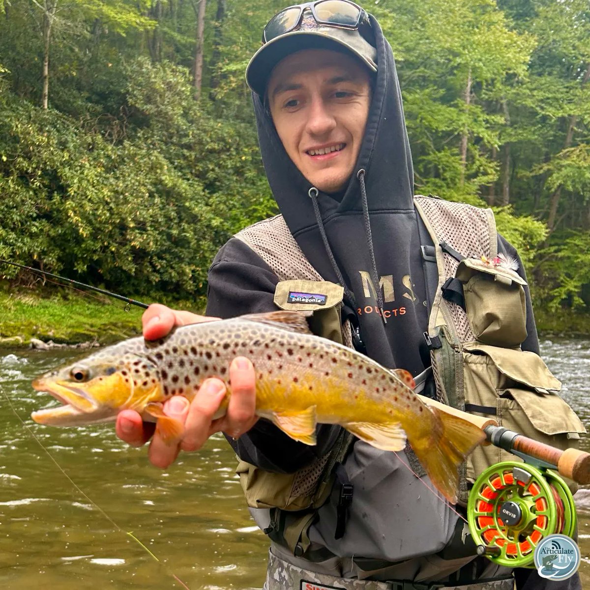 Articulate_Fly's tweet photo. Central PA Fishing Report with George Costa of @tcoflyfishing 
#flyfishing #flytying #thearticulatefly #tcoflyshop #liveoutdoors #flyshop #repyourwater #fishingreport https://t.co/vgg3f0VF97 https://t.co/HUzWZjuPDK