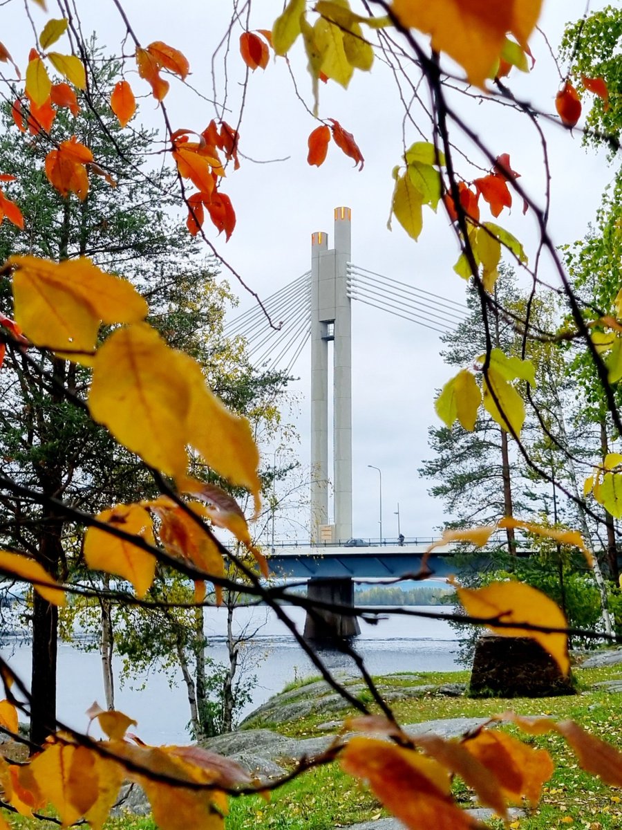 #Warm #Autumn day at the #ArcticCircle. #Finland #Lapland #Rovaniemi #Kemijoki #Jätkänkynttilä