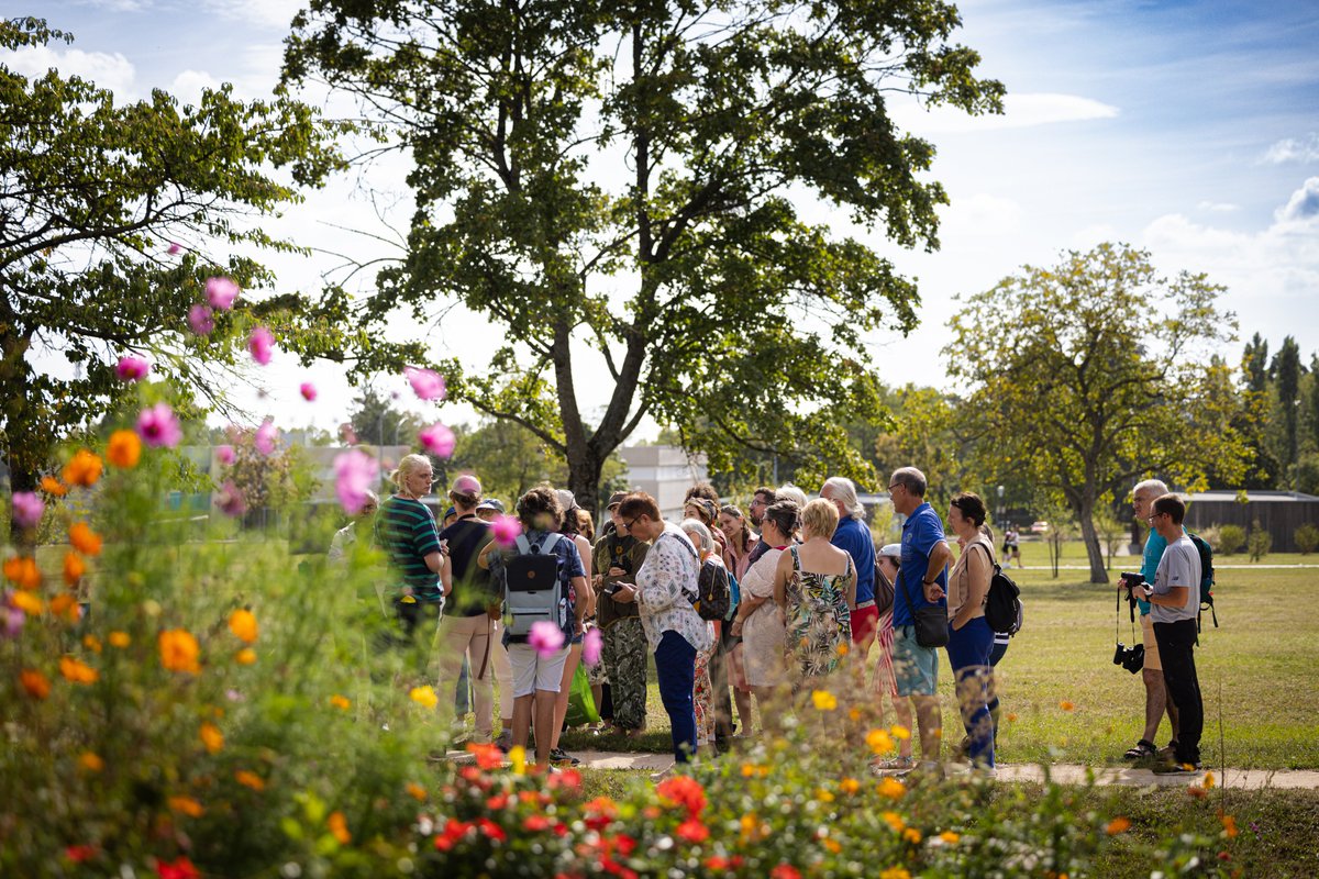 atheneum tweet media