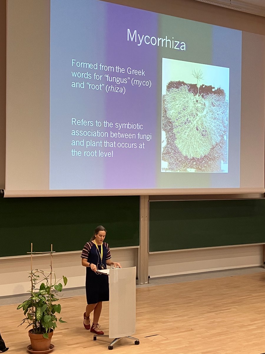 dr. nicole dalmer tweet media