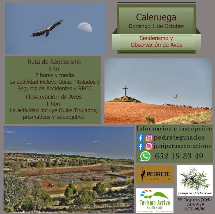 ¡ Actividades de turismo activo en #Caleruega ! Más información en el contacto de Pedrete Guiados que aparece en la fotografía.