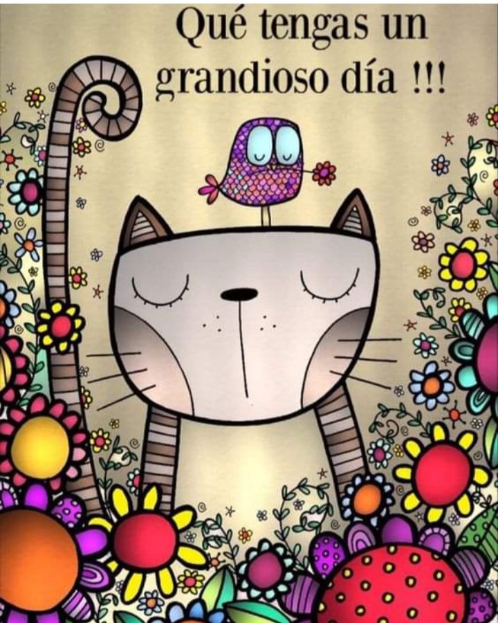 Chely Castillo (@castillo6chely) on Twitter photo 