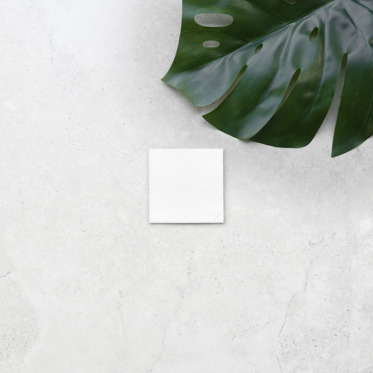 EasydryUsa's tweet photo. Introducing a revolutionary new disposable towel from Easydry! Our 100% biodegradable &amp; sustainable towel outperforms traditional cotton and terry towels in every way. #Easydry #DisposableTowel #innovation #businessinnovation #bcorp #thebetterwaytodry    https://t.co/RGyx6X7kIB https://t.co/8n4b9N80Cj