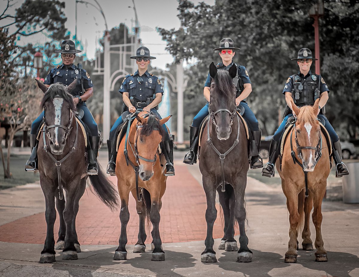 Every day is a chance to do something that's meaningful. Our Police Mounted Officers patrol every day to keep our city safe. If you are ready to start serving your community, contact a #DallasPD Recruiter today. #flexfriday #30x30 Apply today at Dallaspolice.net/join-dpd