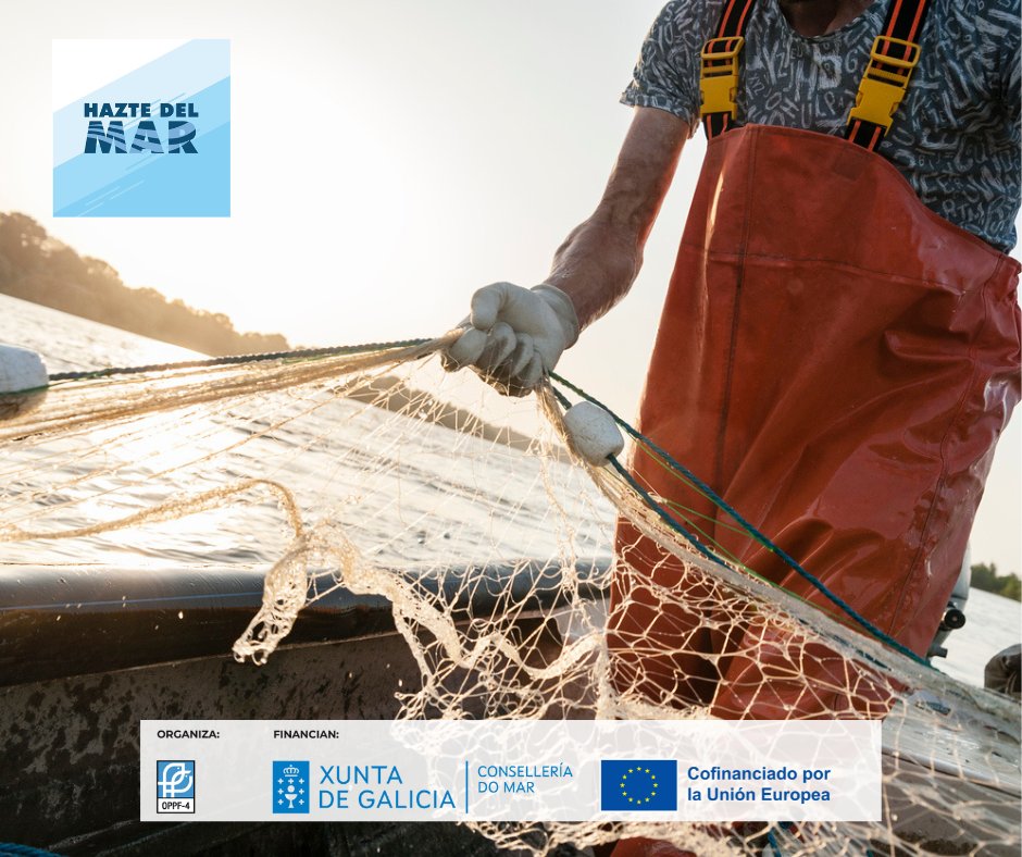haztedelmar's tweet photo. ¿Sabes cuáles son algunas de las categorías profesionales de la tripulación de un buque de pesca? Anota 👉🏻 Patrón de pesca, oficial de máquinas, contramaestre, cocinero y marinero, entre otros.

(Acción patrocinada por Xunta de Galicia y el #FEMPA)

#OPPF4 #Pesca #Formación https://t.co/oR3iOP0kP0