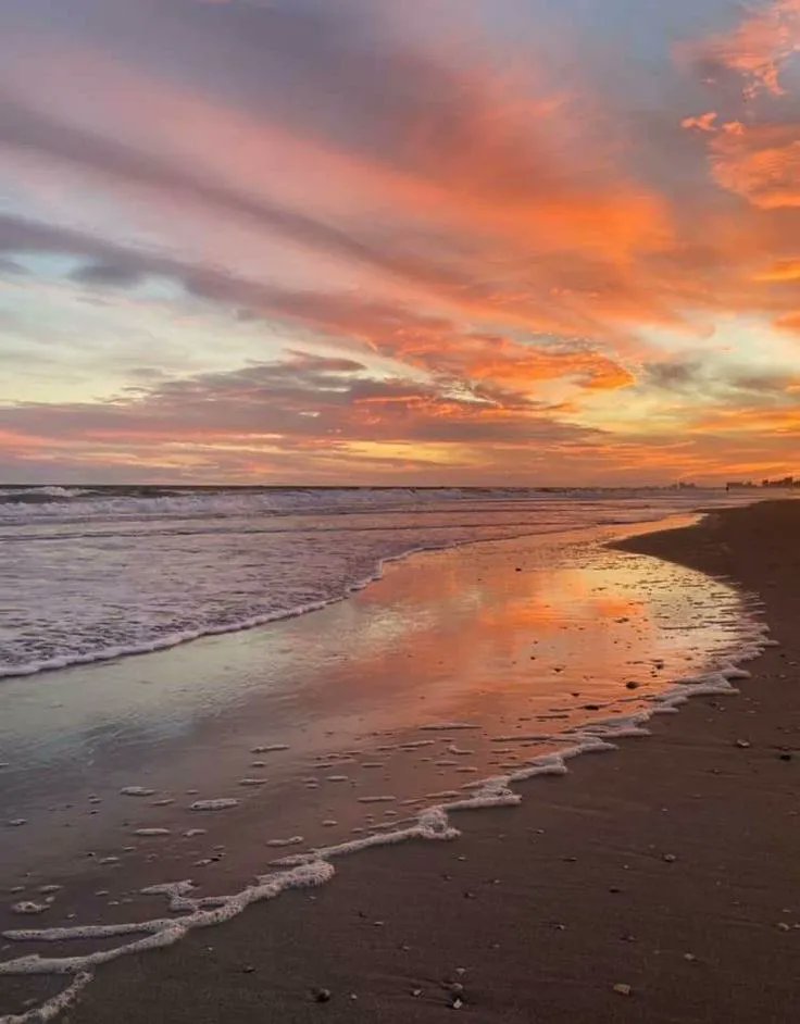 aestheticspost_'s tweet image. walks by the ocean