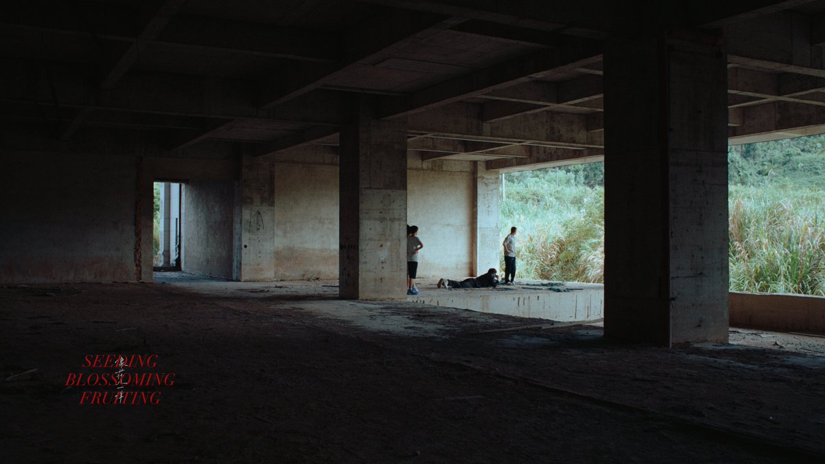 JunsongLin10784's tweet photo. These photos are from my short film "Seeding, Blossoming, Fruiting". Can you guess the story? https://t.co/WFhUyn2aTt