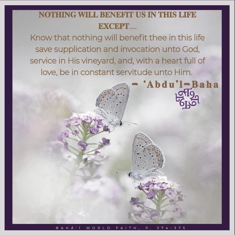 Ryan Daniels (@hallowreed) on Twitter photo 