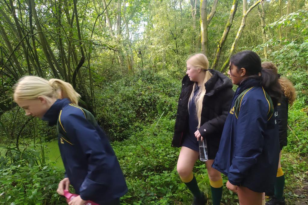 Wellow House School tweet media