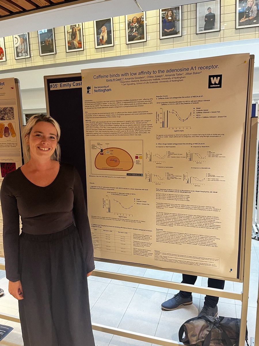 And Emily has just completed her first year of PhD life. Her project is focused on caffeine in fibrotic lung diseases but she has spent the last few months working in a pharmacology lab investigating the binding of caffeine to specific adenosine receptors #WeAreBDI