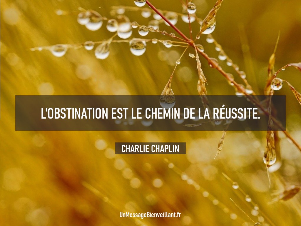 « L'obstination est le chemin de la réussite. »

                 - Charlie Chaplin

#CitationInspirante #CharlieChaplin 
#Obstination #Persévérance 
#Motivation #Réussite #Détermination
#EtatDEsprit #NeJamaisRienLâcher 
#UnMessageBienveillant