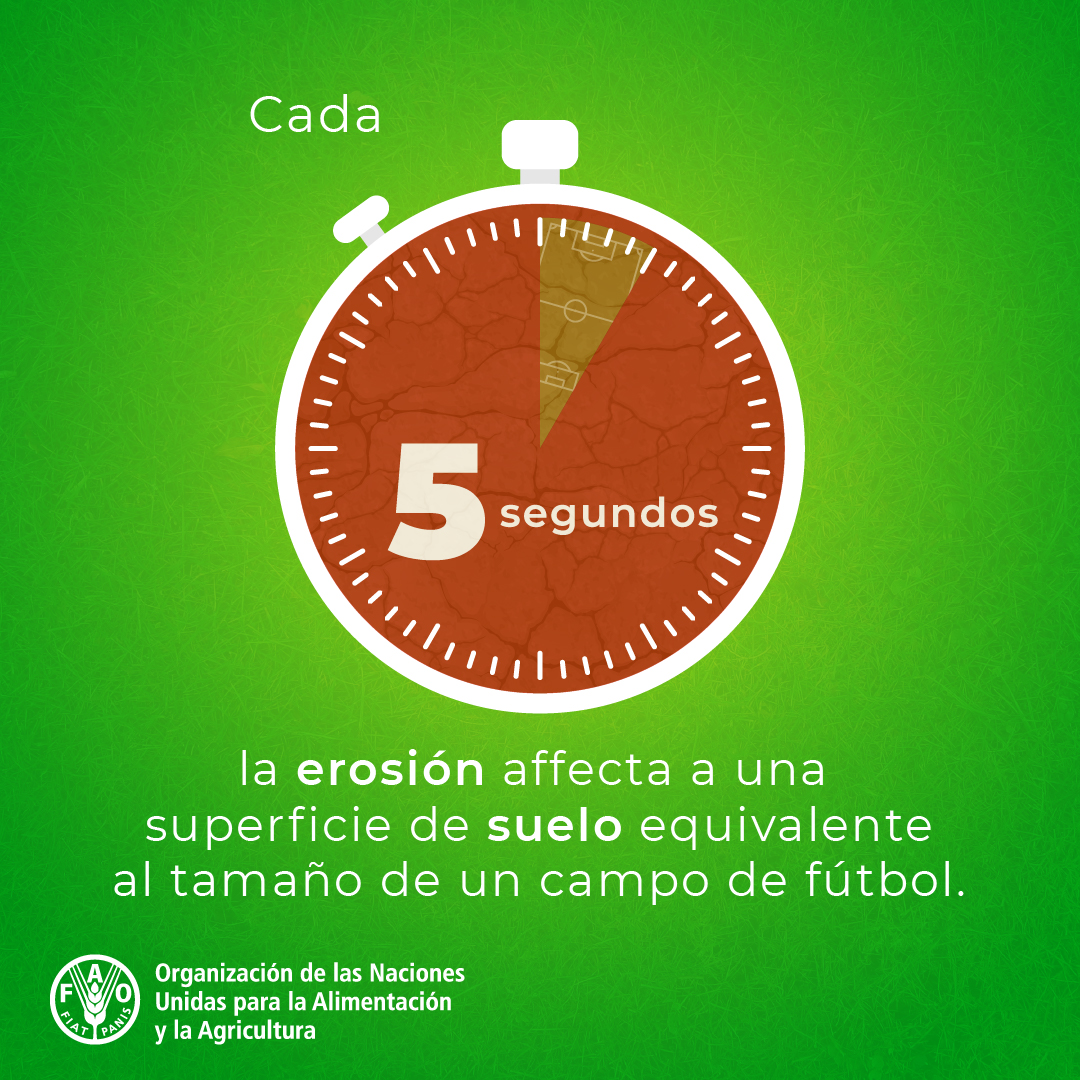 FAOenEspanol's tweet photo. ¿Sabías que para restaurar unos pocos centímetros de suelo se necesitan hasta 1000 años?

Teniendo en cuenta el ritmo de la erosión del suelo y que el 95% de nuestros alimentos provienen del suelo, es imperativo detener la #ErosiónDelSuelo.

👉https://t.co/XnYoDwvYyW https://t.co/aLrLQAHSD4