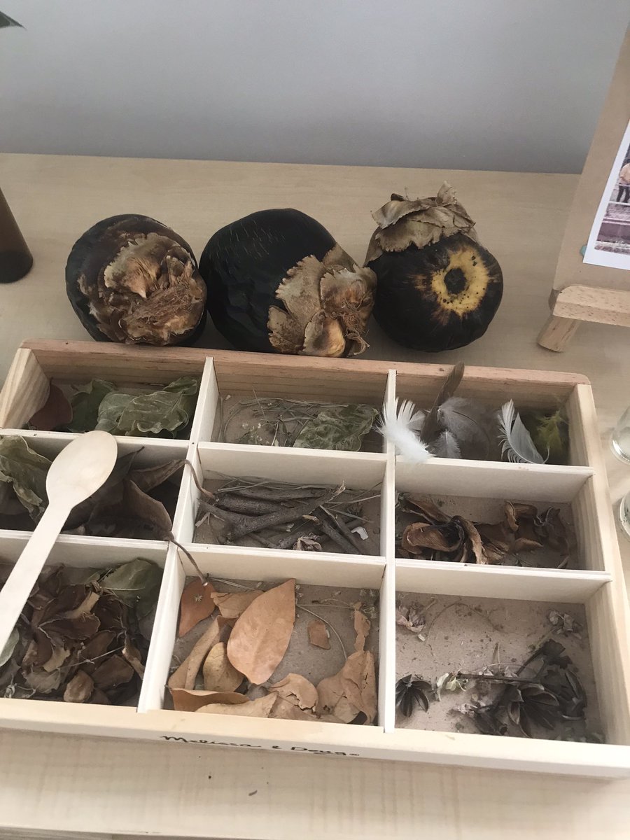 IshhkH's tweet photo. When you bring the outside world into your class the possibilities are endless. EY3 are now passionate about what’s outside their door. #itstartshere #reggioinspired #eypyp @theworldofECE we are so lucky to have this ELC https://t.co/lvkvZRKtLq