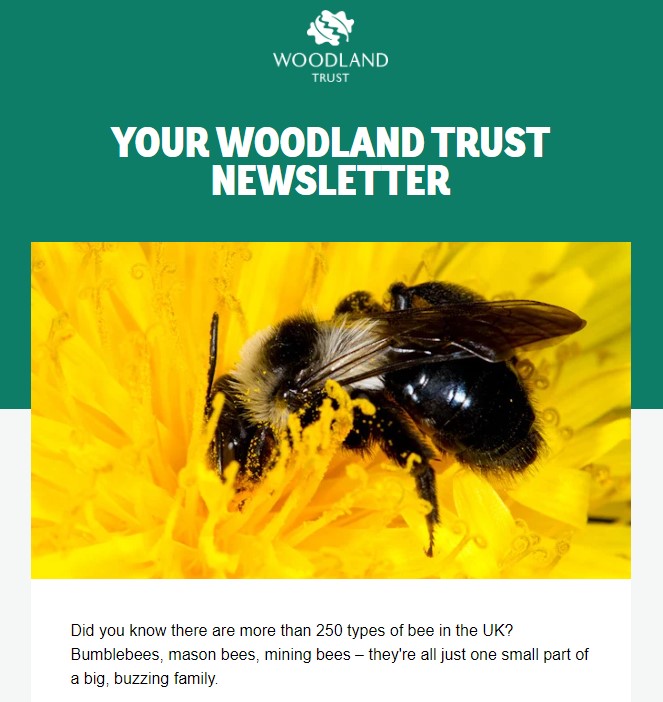 What do #Climate, #Agroforestry, bees & ancient trees have in common? 
🌧️🚜🐝🌳 

They feature in the @WoodlandTrust newsletter, of course! 

Don't miss out, sign up here: bit.ly/3t28bCY

#StayConnected #NatureNews