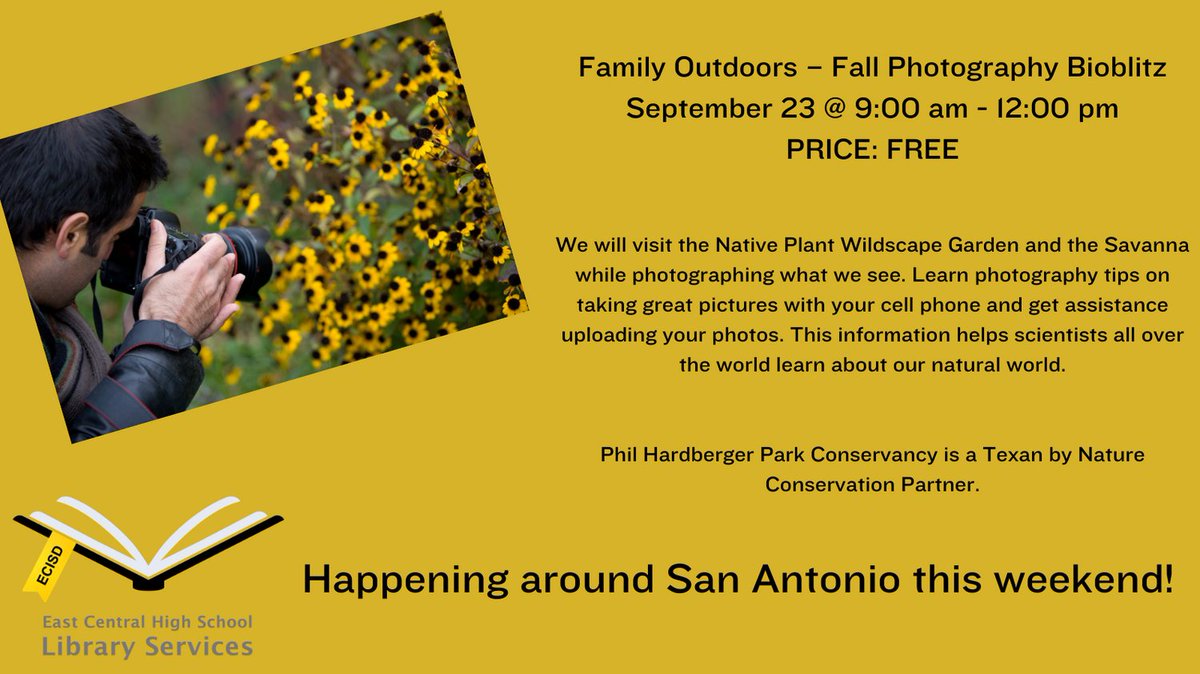 Hornet Library tweet media