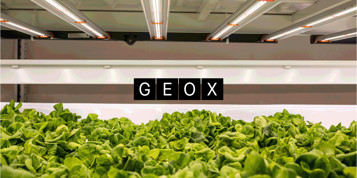 We’re so excited to announce that we are partnering with @thesmbx again to bring YOU-our community more win-win opportunities. We’re back for round 2 😎 raising capital for business and infrastructure expansion. Read how you can support  purchase  smbx.in/ege