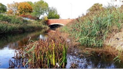 Hull’s Dynamic Drains project is improving #flood risk awareness and #riverstewardship in the city. It’s included litter picks, better fish habitat, pocket parks and schools engagement to improve awareness about water quality and flood risk. #WorldRiversDay #NorthRivers