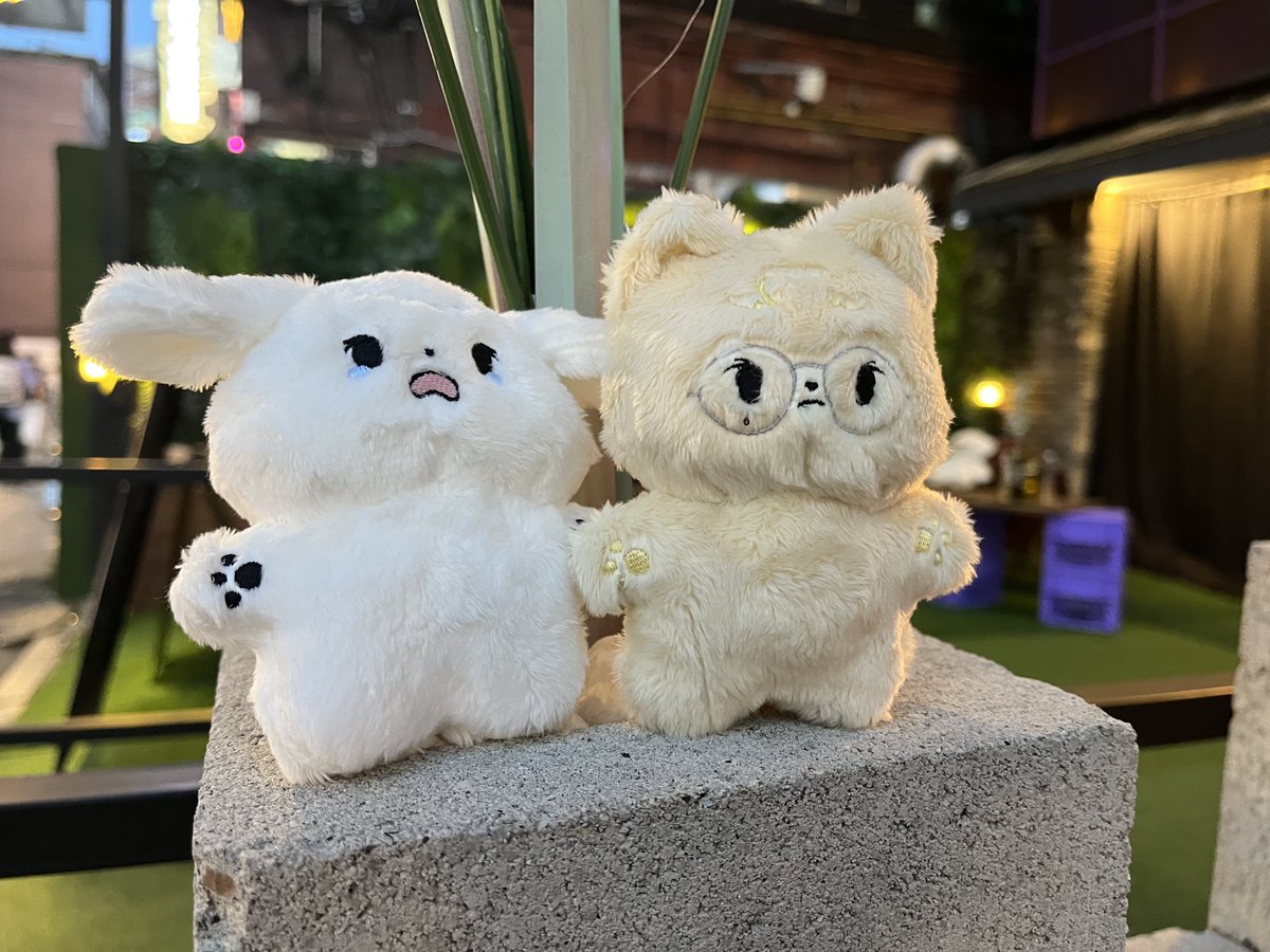 040407_'s tweet photo. 너무귀여운거아니냐,,🥹 https://t.co/WZrqg0MJzk