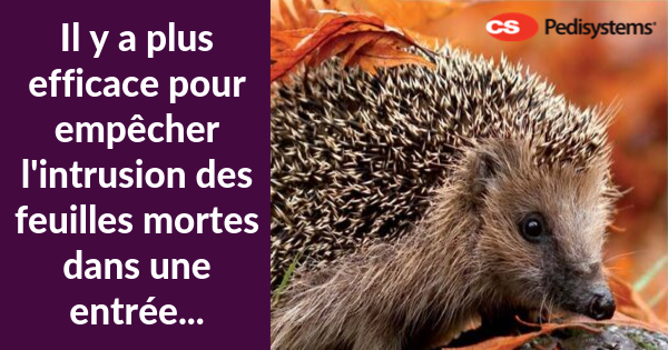 CS France tweet media