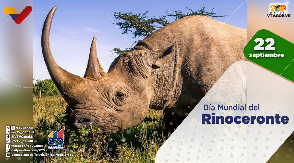 #EFEMÉRIDE🗓️| El #22Sep se celebra el Día Mundial del Rinoceronte 🦏 

Su propósito es crear conciencia sobre la importancia de cuidar y proteger a esta especie, además de resguardar el equilibrio del ecosistema en el planeta.

#ElEsequiboEsDeVenezuela