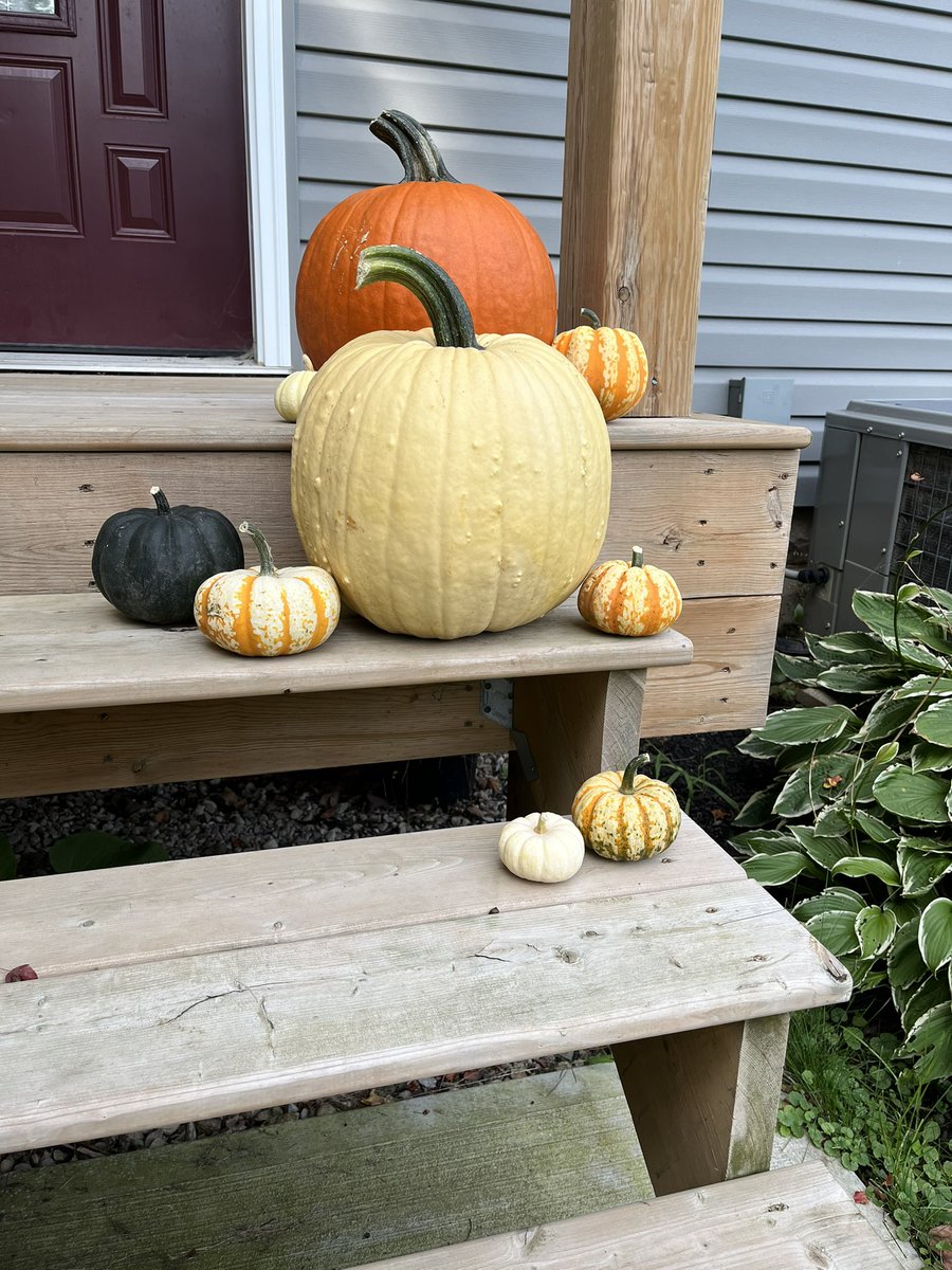 So many pumpkins available right now! I just had to stop north of Clinton and bring these home. 10/10 will end up being used as projectiles by my kids later today, maybe don’t drive past my house this weekend