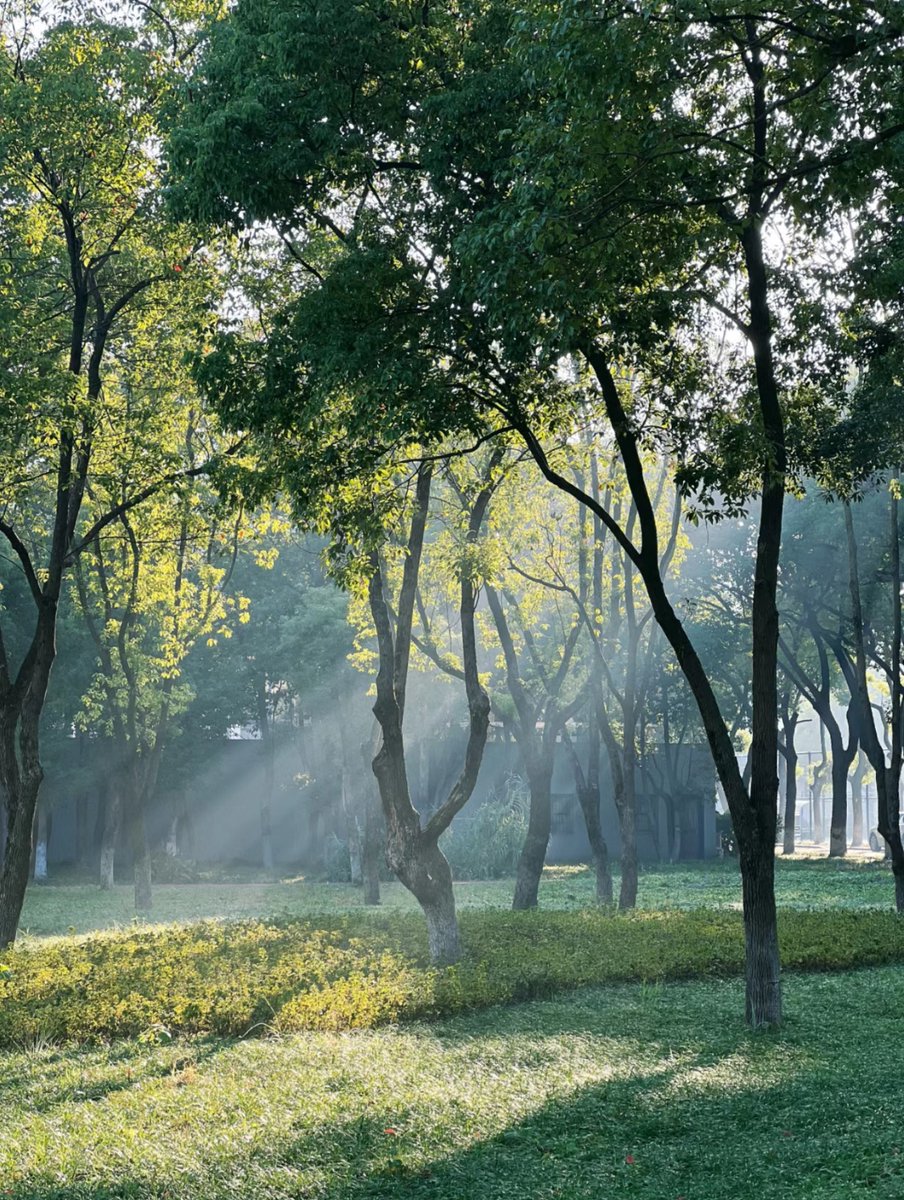 mengna788's tweet photo. 如果心情不好的时候，建议大家选个阳光明媚的早晨，去公园散一散，我可太喜欢公园这片远离喧闹的寂静空间，可以尽情的在里面沐浴自然，感受季节的更迭。 https://t.co/kPAYmXtyC9