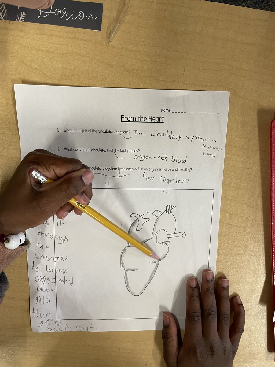 Ashley Williams tweet media