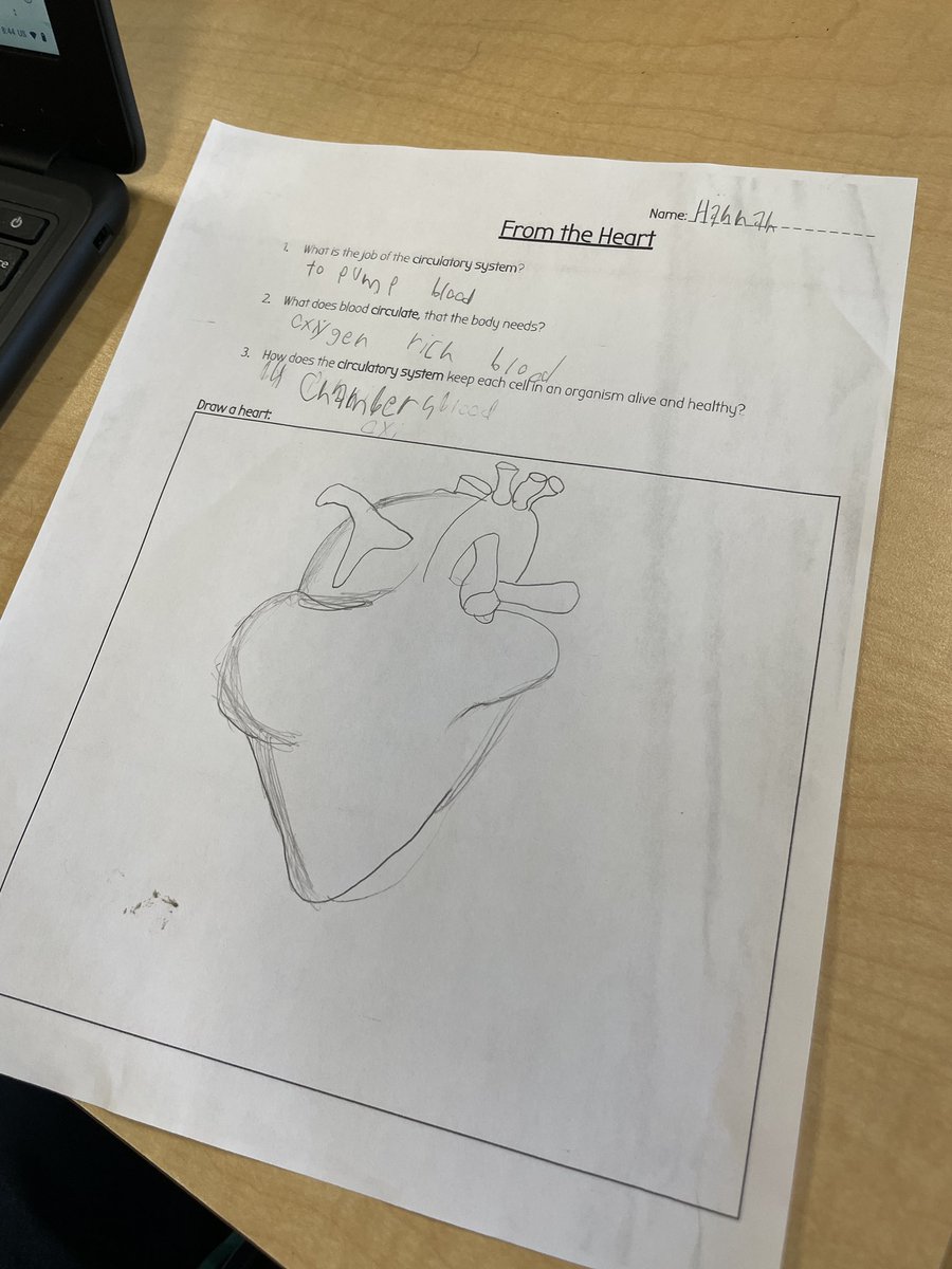 Ashley Williams tweet media