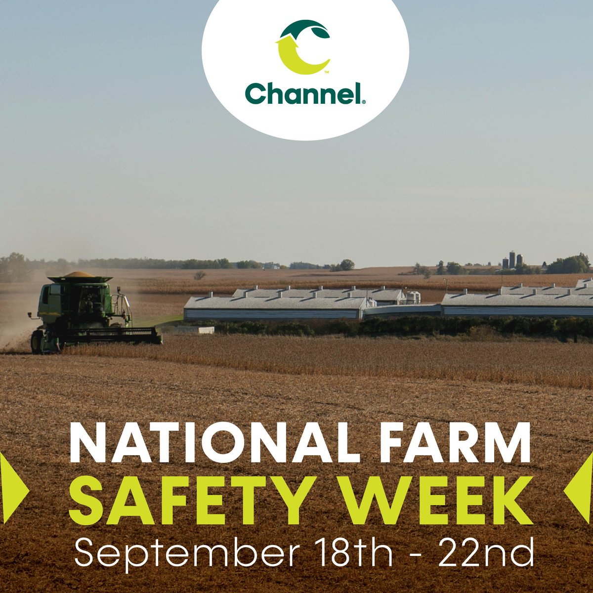 Channel Seed tweet media