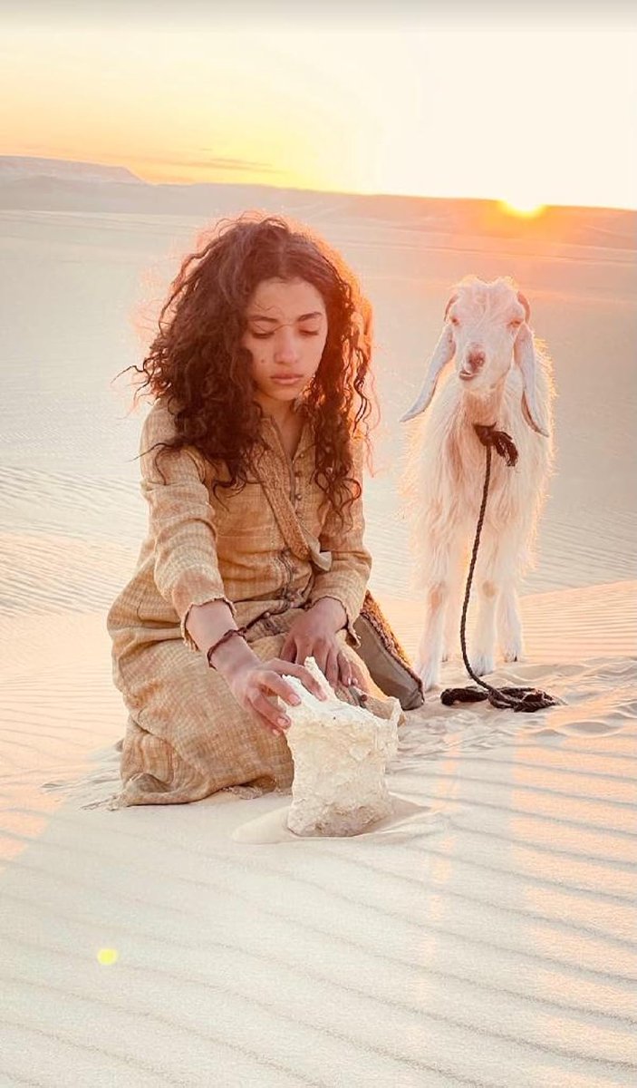 celebwhoop's tweet image. celebwhoop.com/italian-arabic…
🎬✨ &quot;The Goat&quot; starring Mira Sorvino and John Savage! 🌟
Premiering at El Gouna Film Festival and closing at Rome Film Festival, this film sheds light on pressing global issues.🌍💫 #TheGoatMovie #FilmFestival #ResourceExploitation