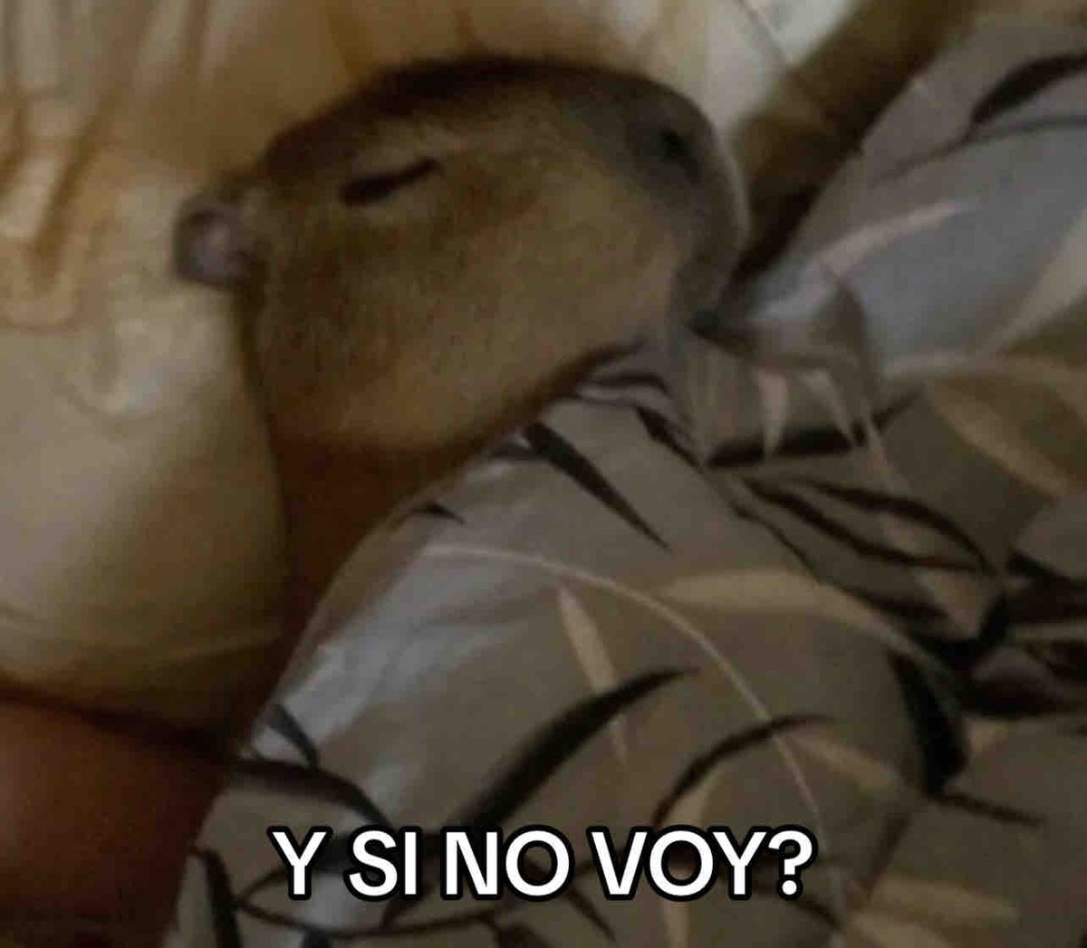 Guarromantico_'s tweet photo. *Suena la alarma*

Yo: https://t.co/ZwHe3Fjkp2