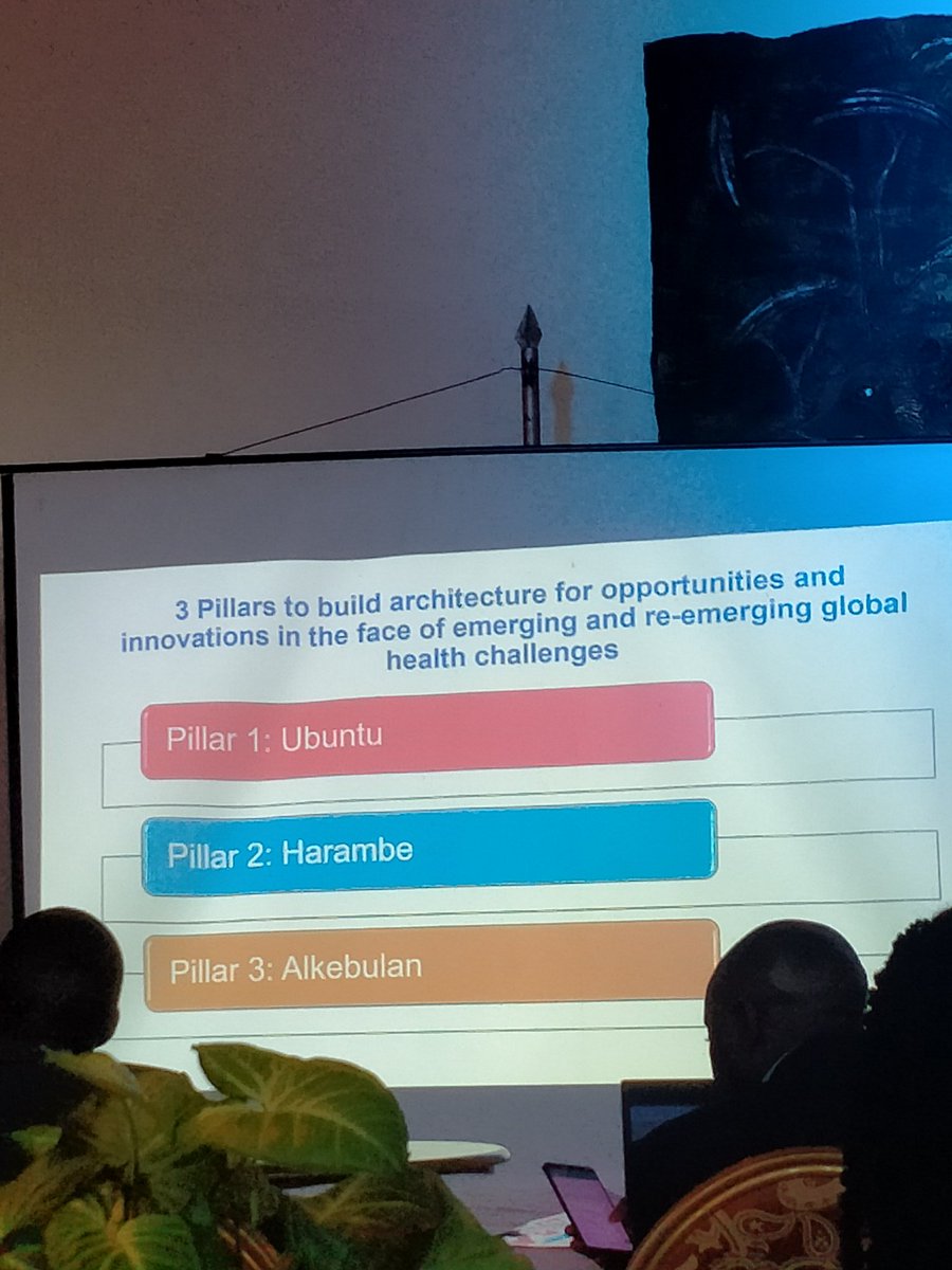 Here at the #JASHC2023 listening to Prof.@flavia04 the Deputy Dean of Stakeholders @UPTuks.  We need to design our own solutions for our African problems.  To do that we need 3 pillars👇