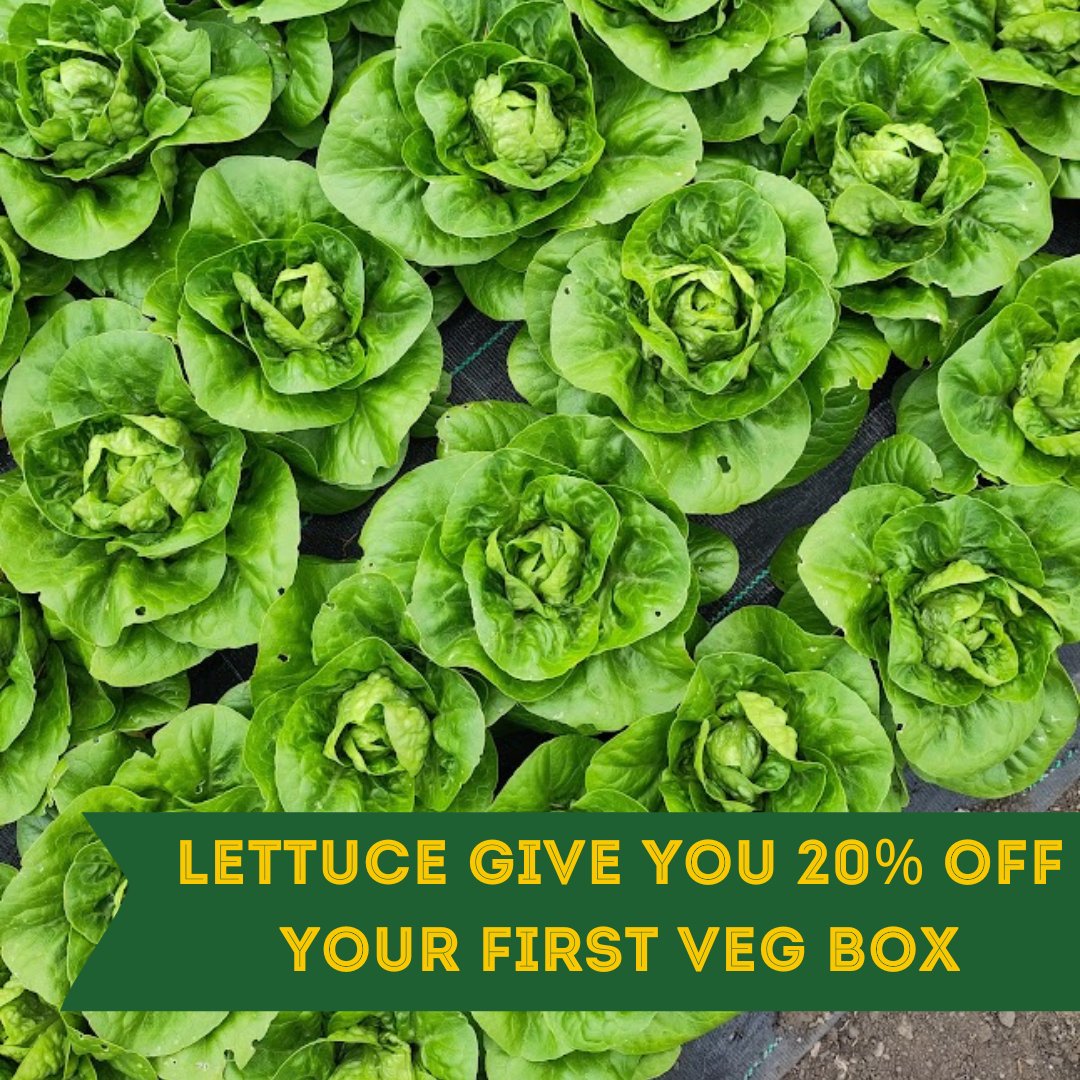 Use the code EATLOCALFOOD and get 20% off your first local and organic veg box. Join here: vegbox.locavore.scot We deliver our veg boxes by electric van right across central Scotland and you can add on organic groceries for delivery too.