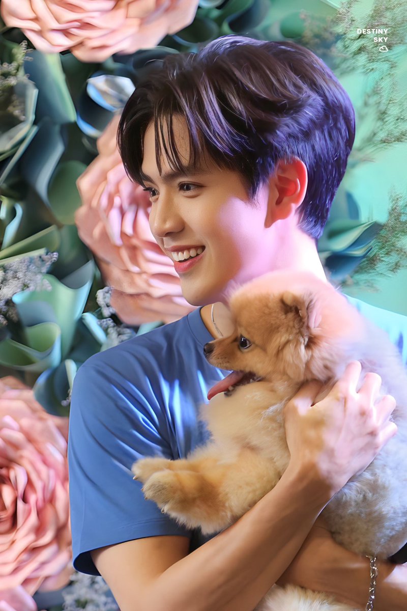 DestinySky0820's tweet photo. 🐱🐶 น่าร้ากกกกกกก 
FILM THANAPAT
#MideaXFilmTNP
#MideaThailand https://t.co/TTVXhuLvtM