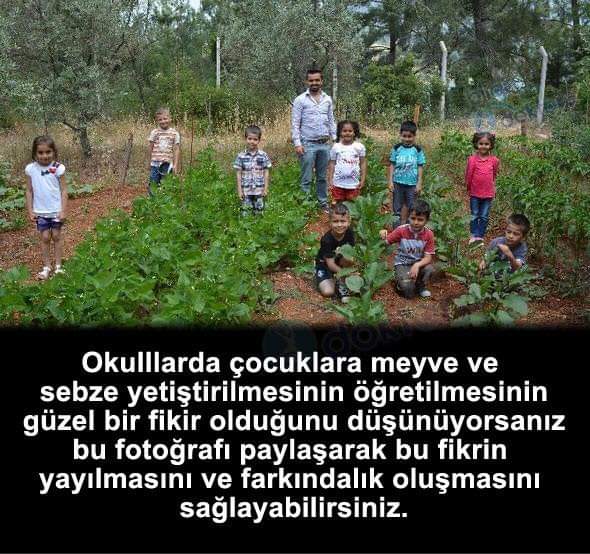 Recepsamuncu1's tweet photo. Tarınm takvimi unutuldu, 50 yas altı insanımız hangi tohumun ne zaman ekılıp ne zaman hasat edılecegını bılmıyor, Tarım takvımı kulturumuzde buyuklerımızden uygulamalı olarak ogretılırdı, bu gıdısle okullarda ders olarak okutulacak,,, https://t.co/BkdXapqpwL
