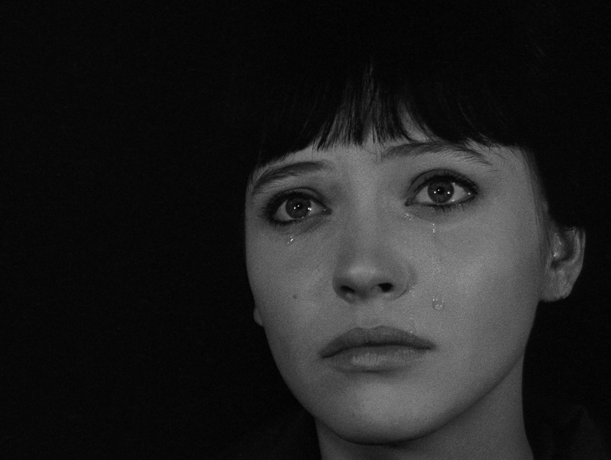 Criterion's tweet photo. ❤️🌹 https://t.co/6UC7nXyxzH