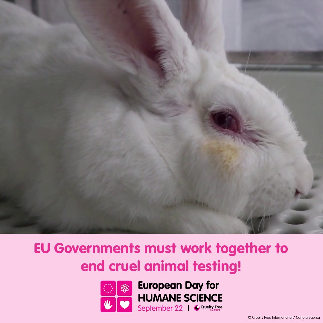 CrueltyFreeEU's tweet image. This #EuropeanDayforHumaneScience 🔬 we need your help. Please SHARE 🔄 this post and TAG your local EU member of parliament to let them know you’re supporting calls for governments across the EU to work together to create a cruelty free world based on animal-free science. 🐰