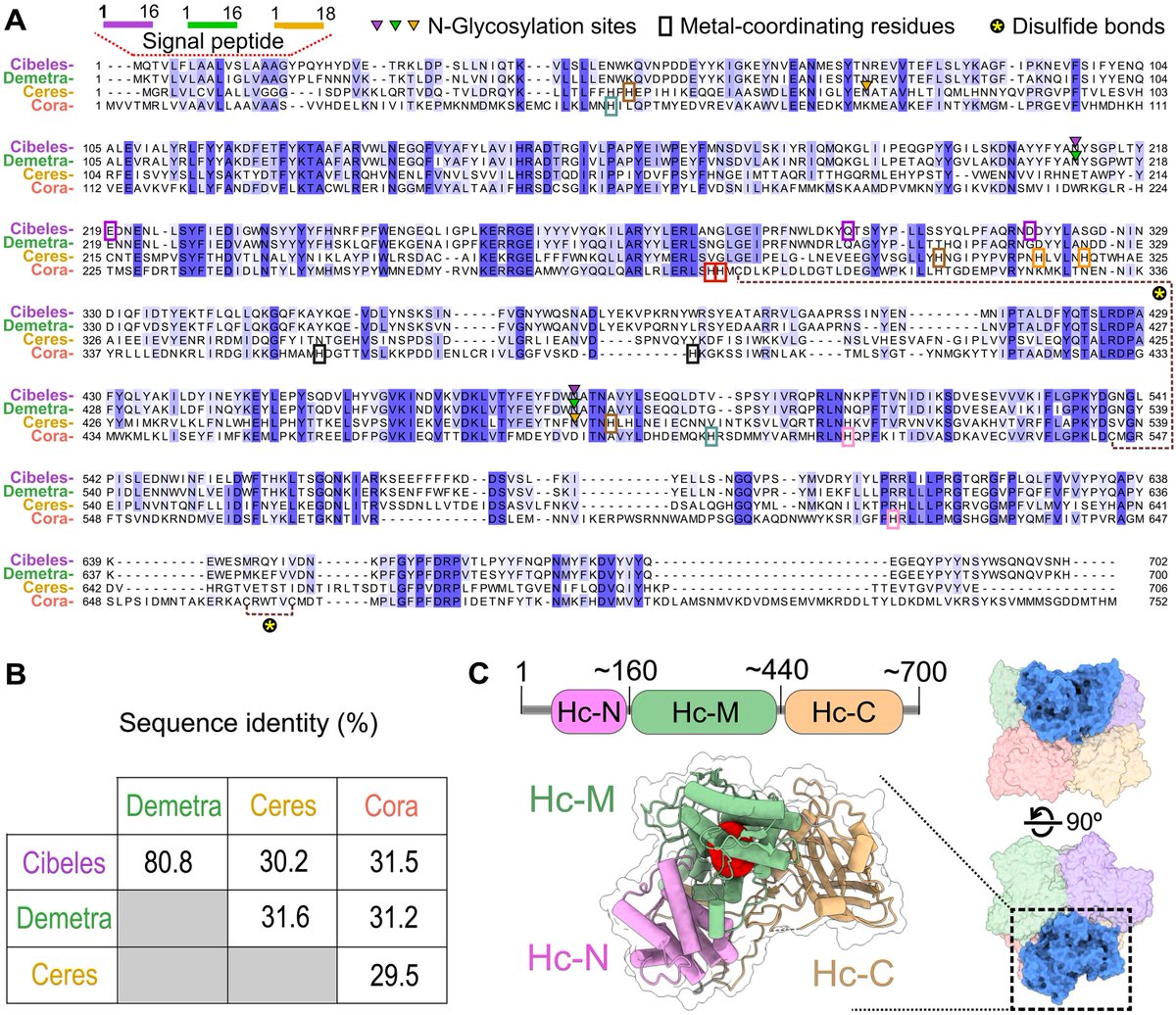 Structures of hexamerins (!) from wax worm saliva (!!) that break down plastics (!!!). 

<a href="/EAriasPalomo/">Ernesto Arias-Palomo</a>

science.org/doi/full/10.11…