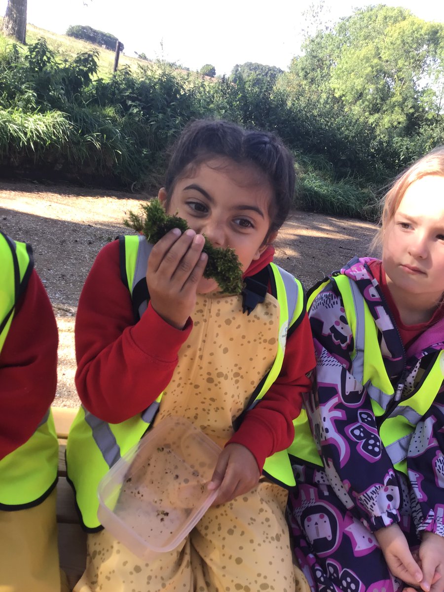 LoddingtonCEPri's tweet photo. R/1 have enjoyed another session at our Forest and Wetland Area this morning. We enjoyed exploring our senses by smelling and touching different items that we would find in the Forest before lying on the grass to listen to all the sounds that we could hear. What a fun morning! :) https://t.co/iqdLt0Xxdk