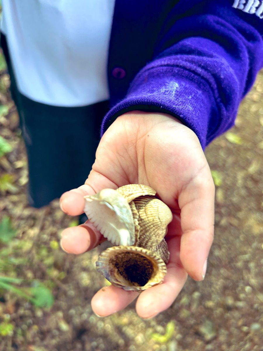 Our first of many adventures out into our local #nature garden, all our reception children are such inquisitive explorers @BrunswickParkPS @teach_outdoors @EYTagteam