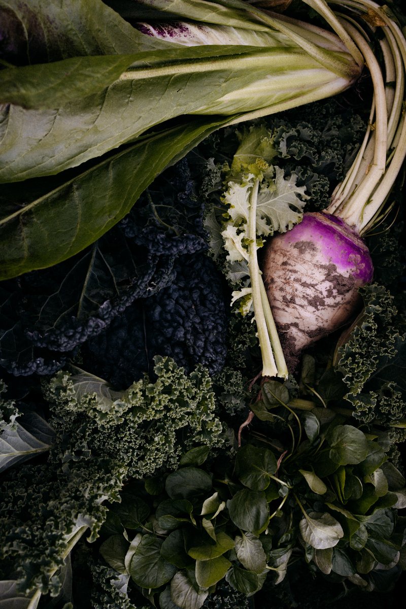 Château Neercanne tweet media